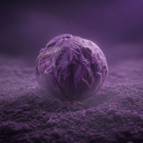 A giant textured seed resting on cracked purple soil